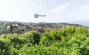 Property slide 58