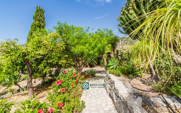 Property slide 81
