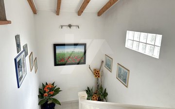 Property slide 11