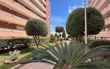 Property slide 42