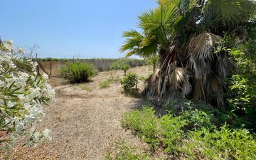 Property slide 18