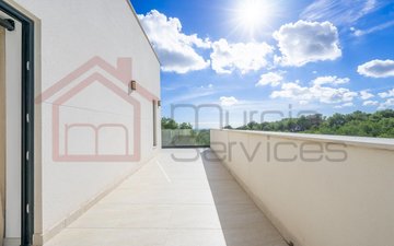 Property slide 31
