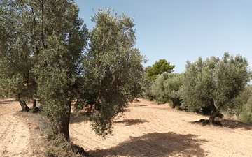 Property slide 8