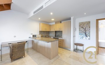 Property slide 13