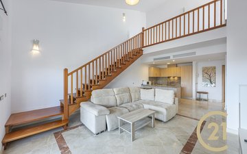 Property slide 17