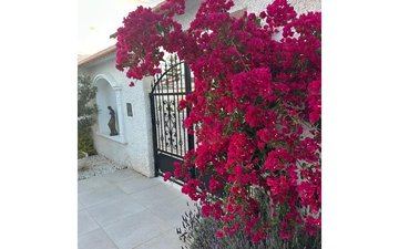 Property slide 42
