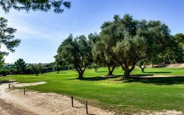 Property slide 46