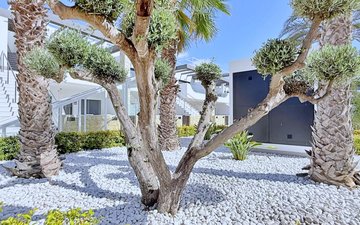 Property slide 36