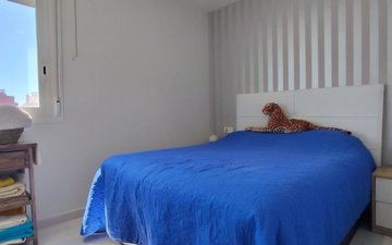 Property slide 11
