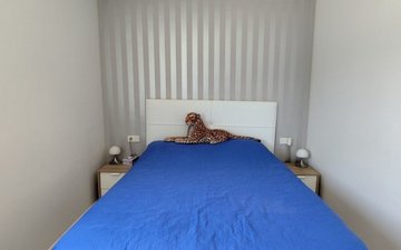 Property slide 12