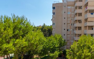 Property slide 13