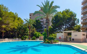 Property slide 25