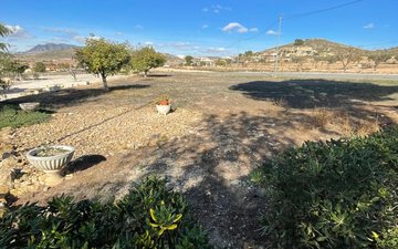 Property slide 31