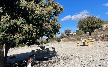 Property slide 46