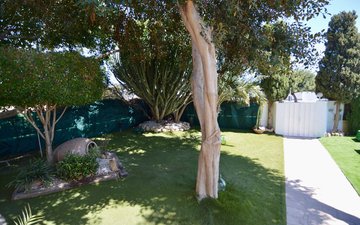 Property slide 32