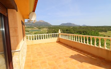 Property slide 43