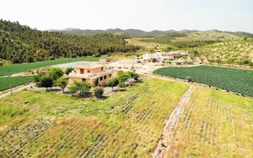 Property slide 47