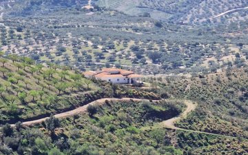 Слайд недвижимости 3