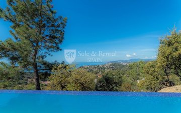 Property slide 43