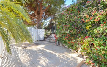 Property slide 41