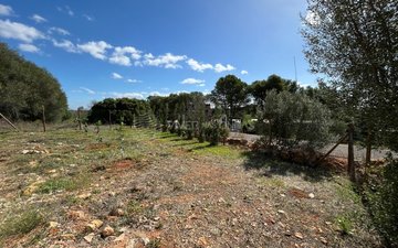 Property slide 25