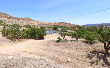 Property slide 44