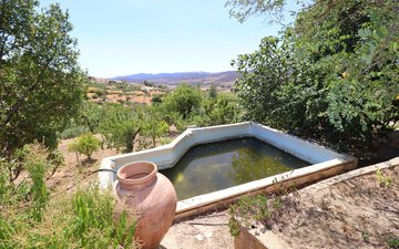 Property slide 43