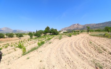Property slide 47