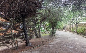 Property slide 36