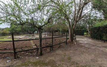 Property slide 45