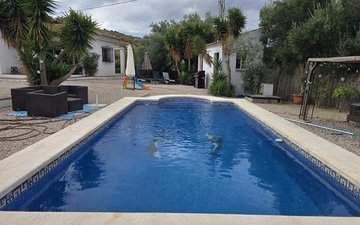 Property slide 11
