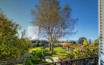 Property slide 29