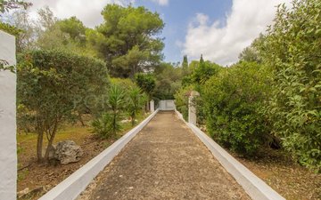 Property slide 30