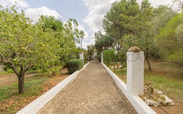 Property slide 31