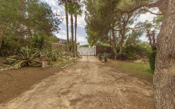 Property slide 32