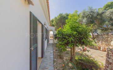 Property slide 30