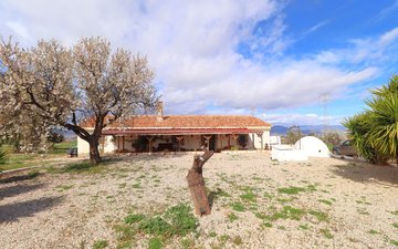 Property slide 2