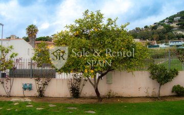 Property slide 43
