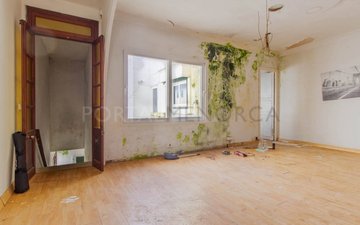Property slide 11