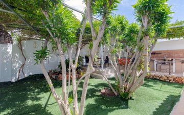 Property slide 30