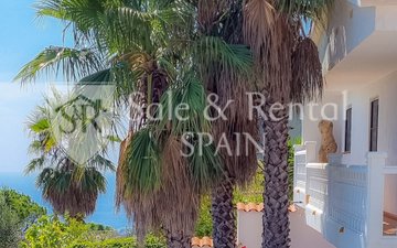 Property slide 29