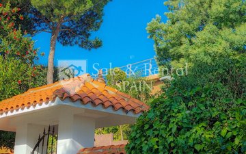 Property slide 32