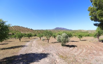 Property slide 37