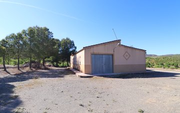 Property slide 29
