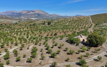 Property slide 4