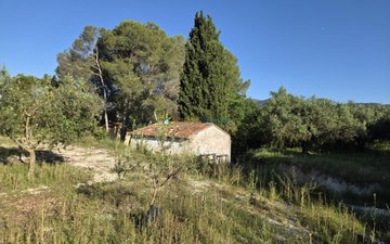 Property slide 4