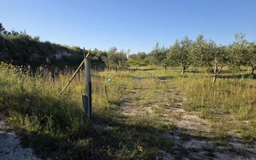 Property slide 6