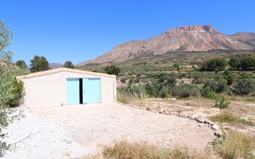 Property slide 50