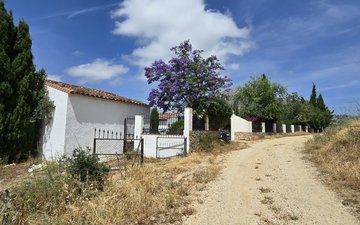 Property slide 39