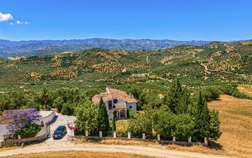 Property slide 42